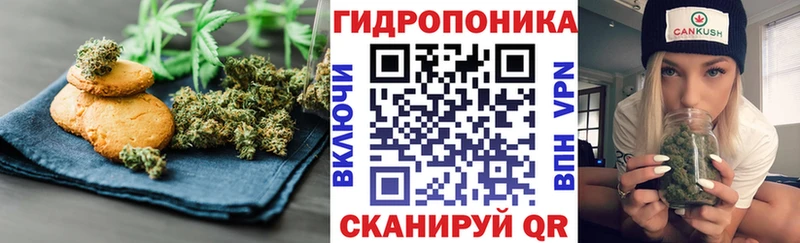 Canna-Cookies марихуана omg зеркало это как зайти Долгопрудный