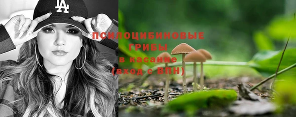 эйфоретик Бородино