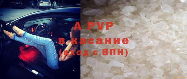 эйфоретик Бородино