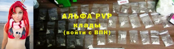 эйфоретик Бородино
