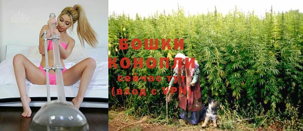 молекула духа Бугульма